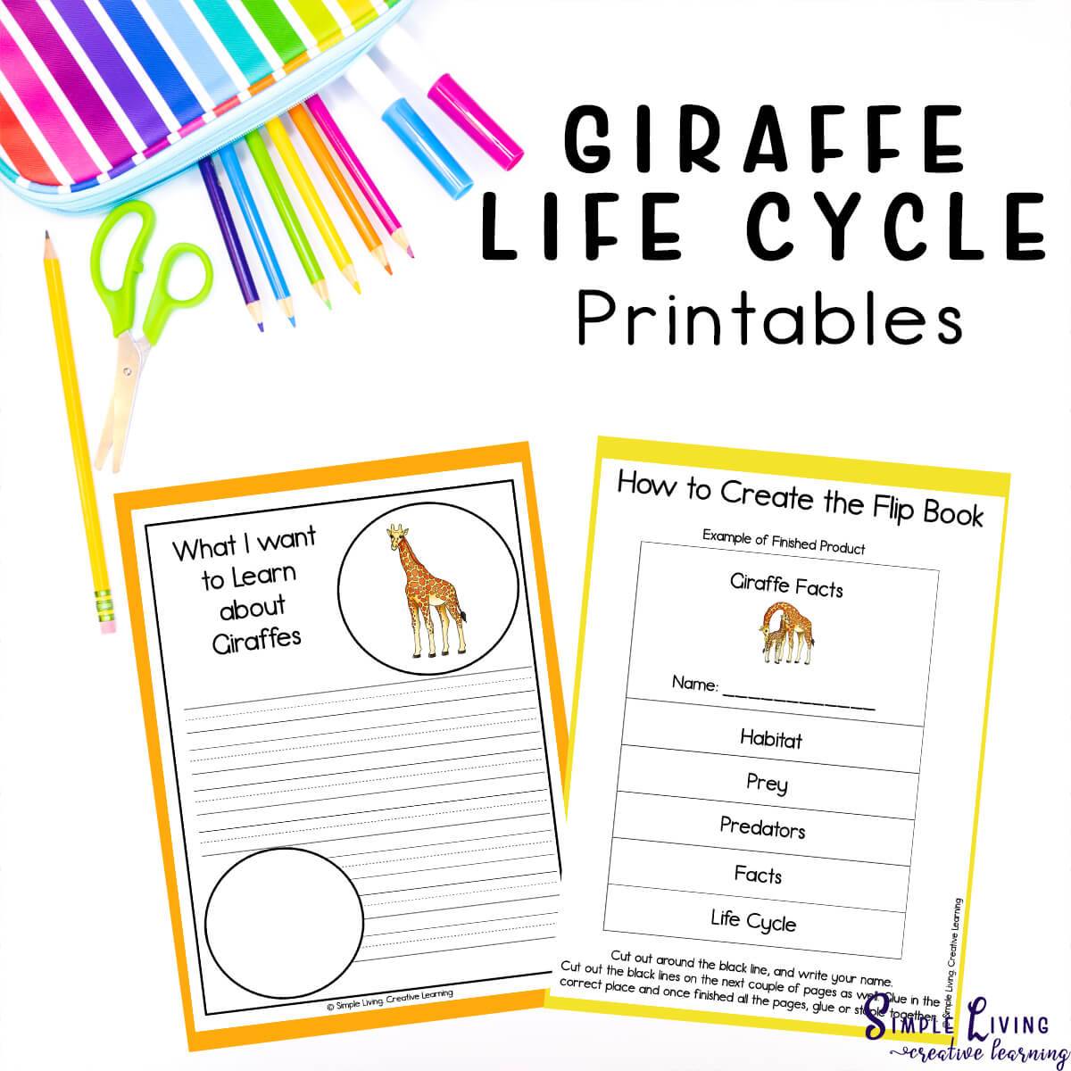 Giraffe Life Cycle Printables