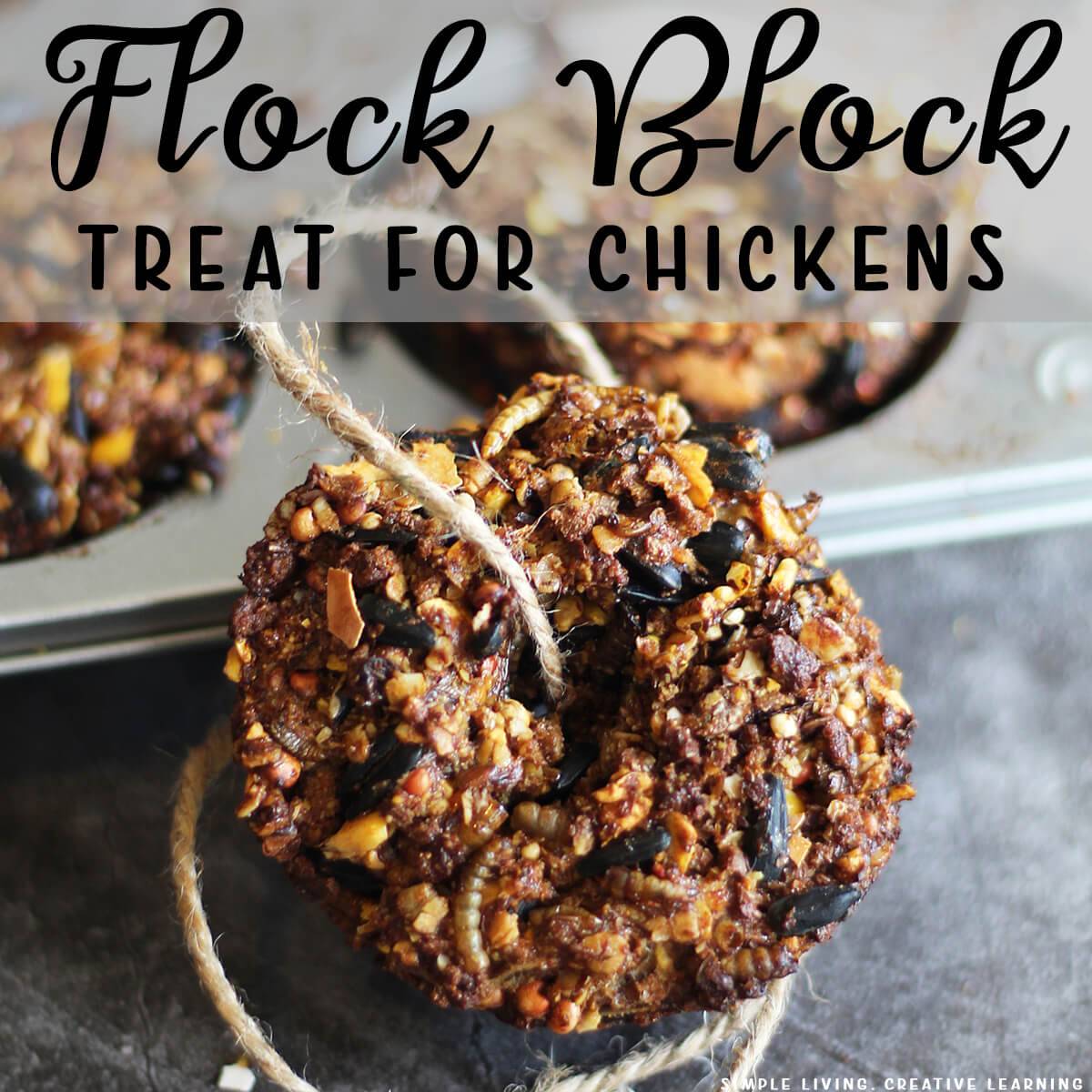 Flock Block Treat for Chickens