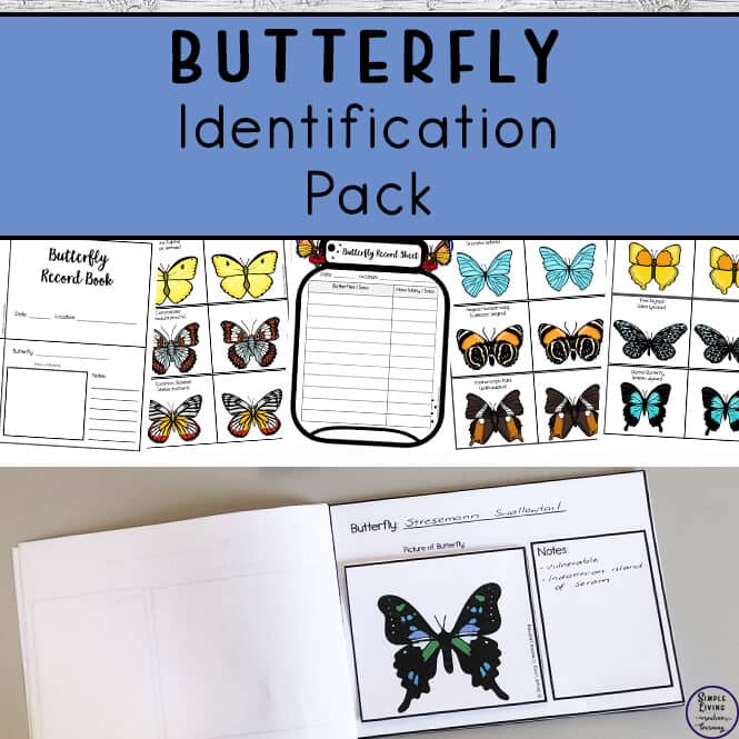 Butterfly Identification Pack