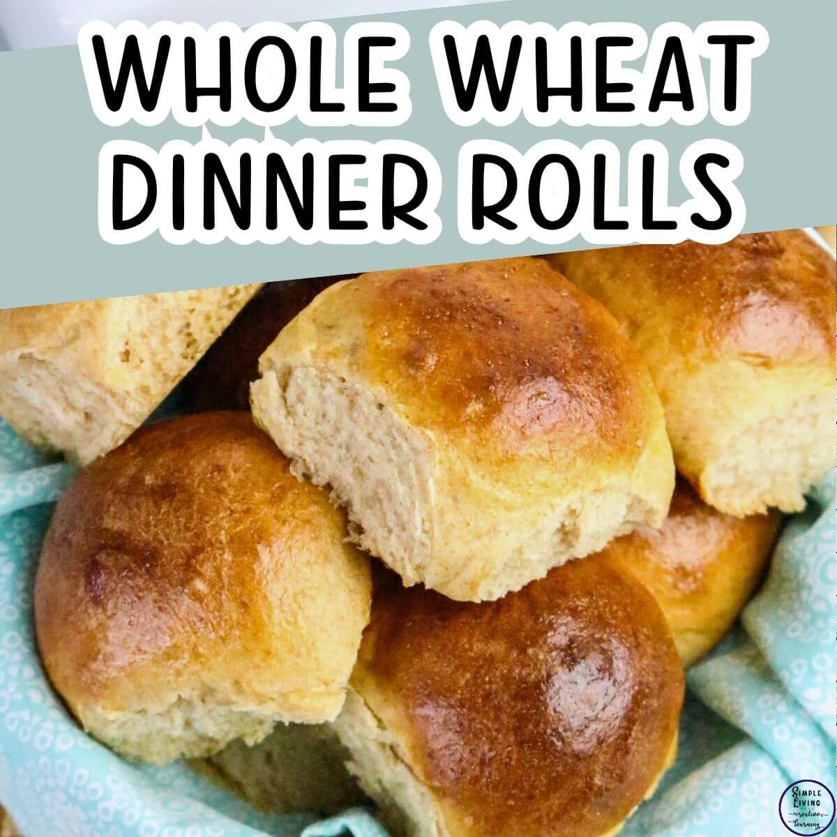 Whole Wheat Dinner Rolls