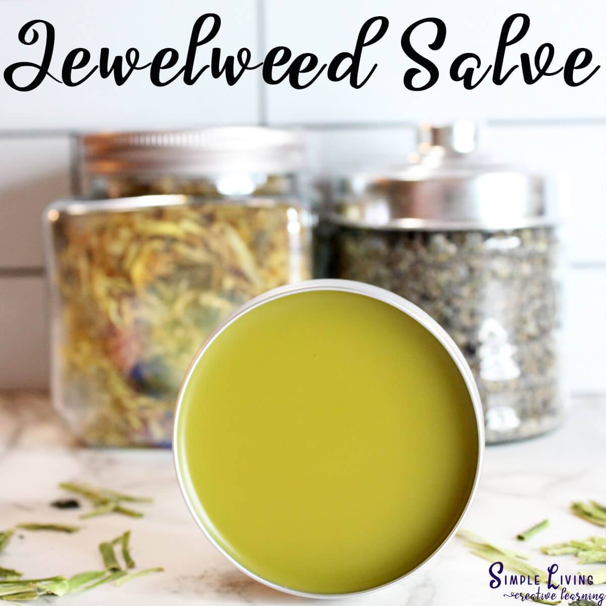Jewelweed Salve