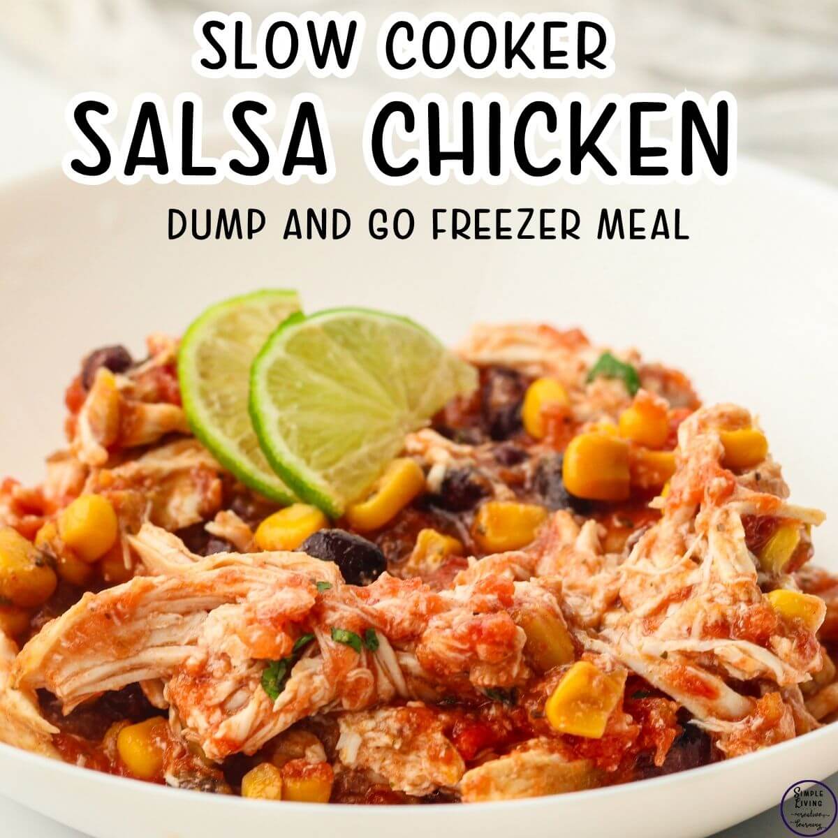 Slow Cooker Salsa Chicken - Dump & Go Freezer Meal