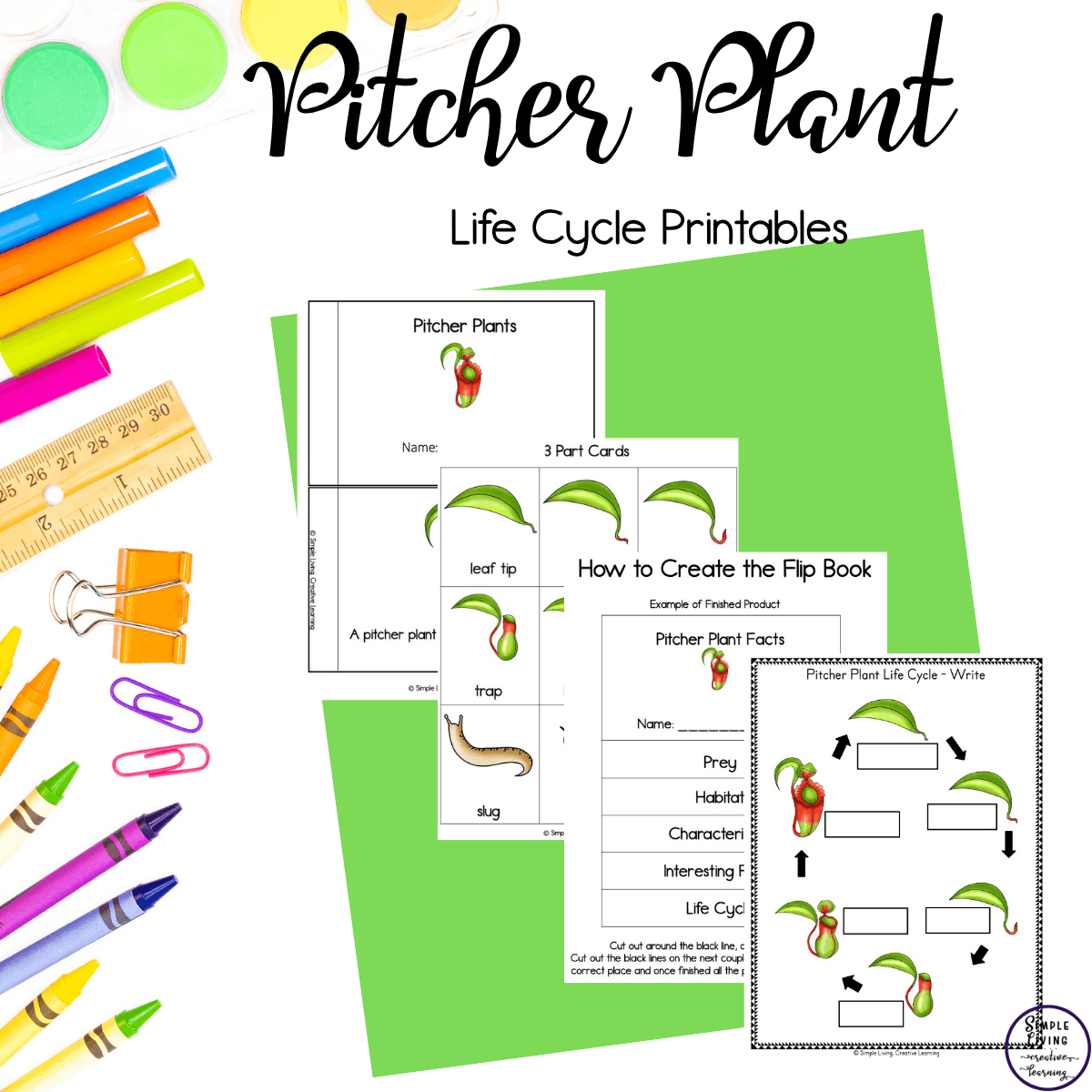 Pitcher Plant Life Cycle Printables