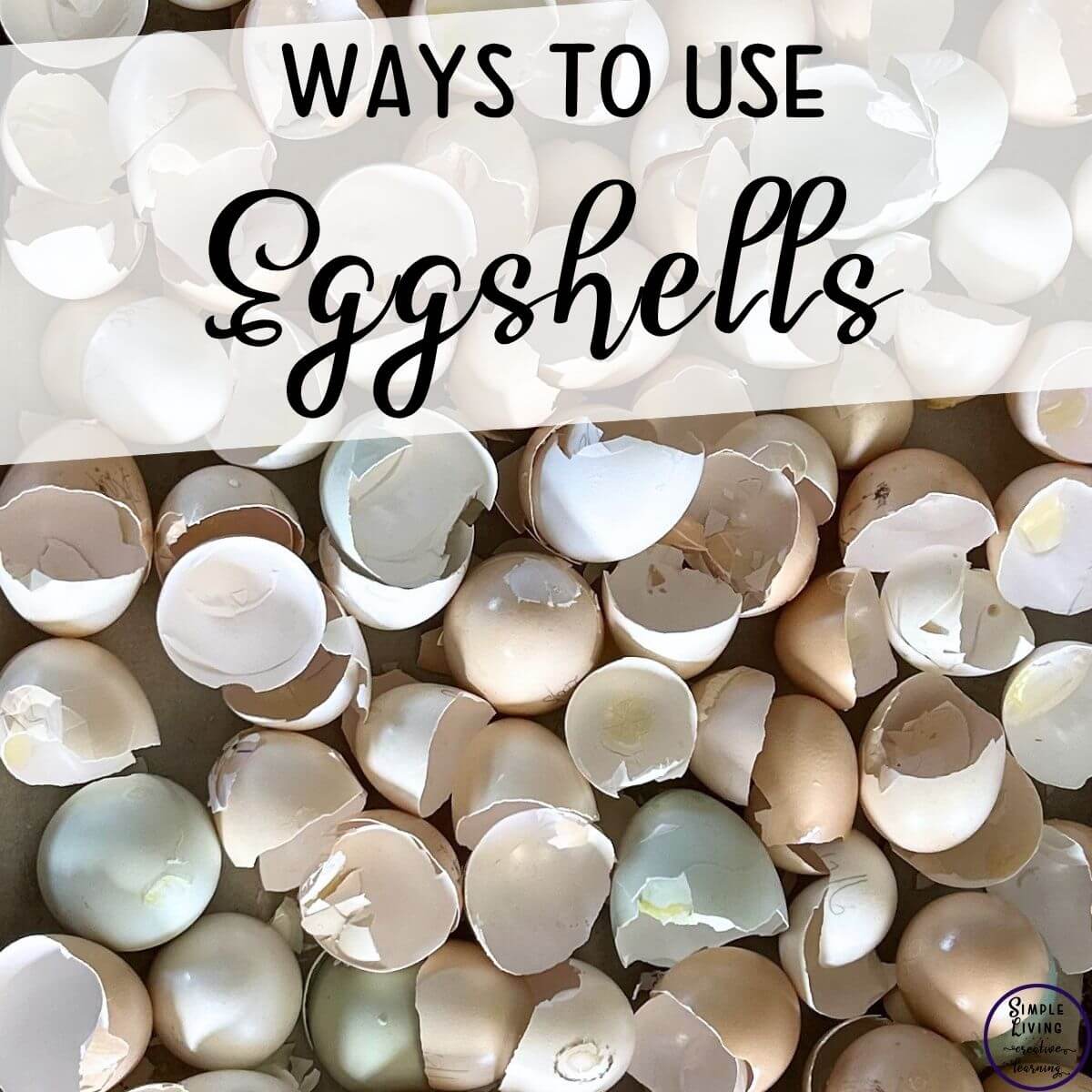 Ways to Use Eggshells