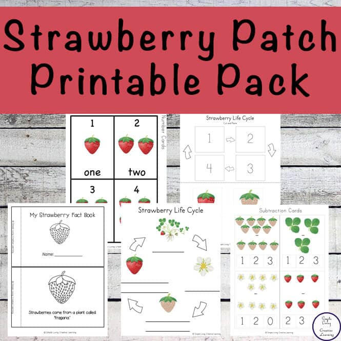 Strawberry Life Cycle Printables