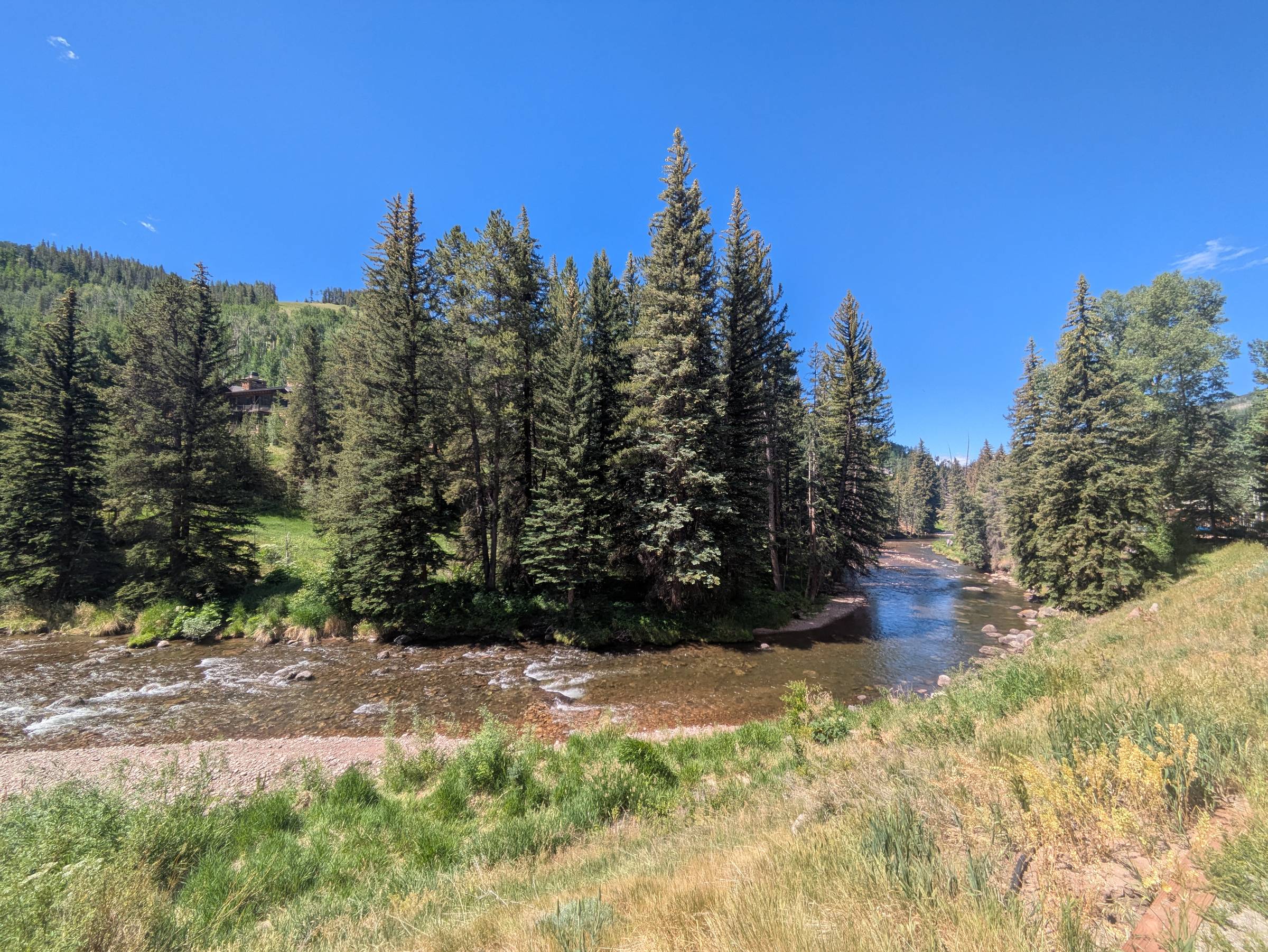 Picturesque view of a creek surrounded by grass and conifers under a clear, blue sky