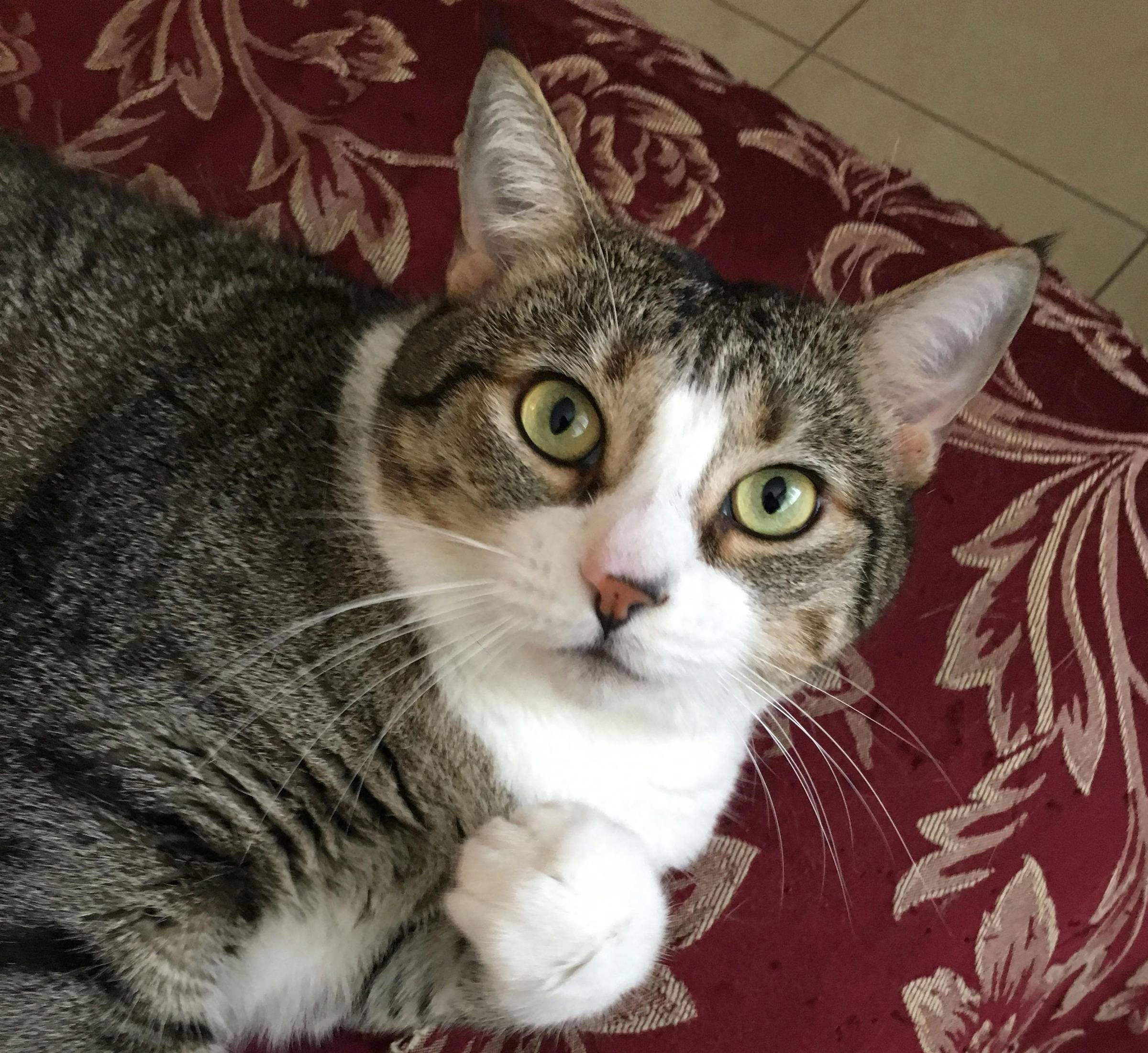 Minnie from 2011 -2024