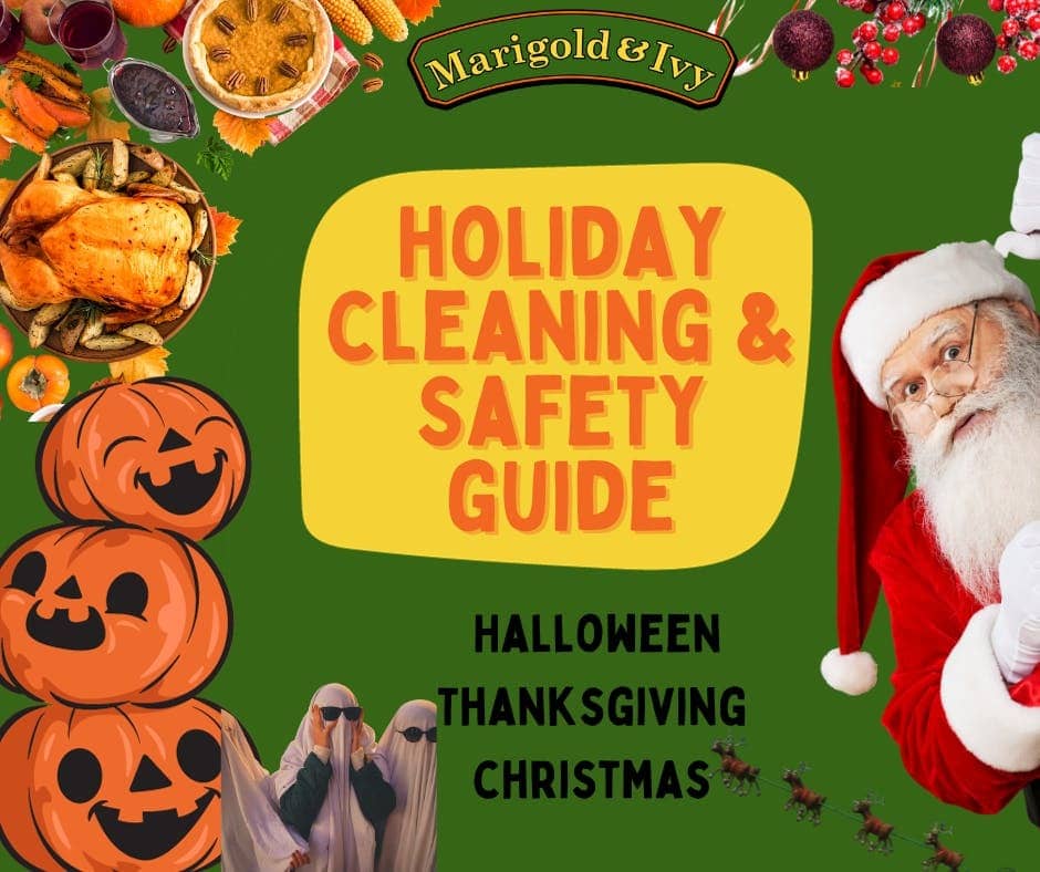 download-your-free-holiday-cleaning-and-safety-guide