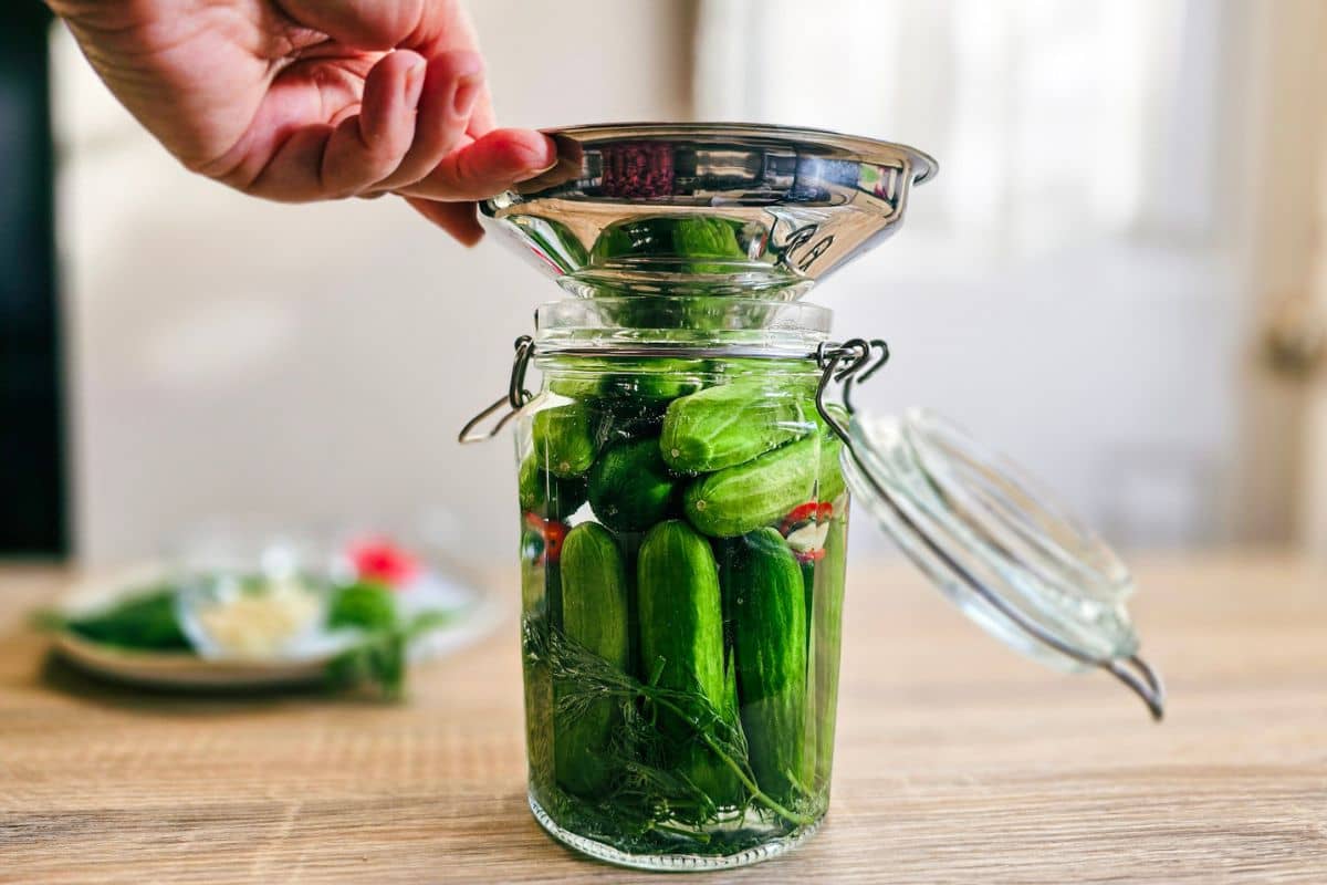 Making a jar of homemade fermented cucumbers with garlic, dill, and peppercorns, crisp and tangy, perfect for gut-friendly snacking.