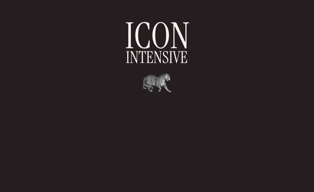 ICON Intensive