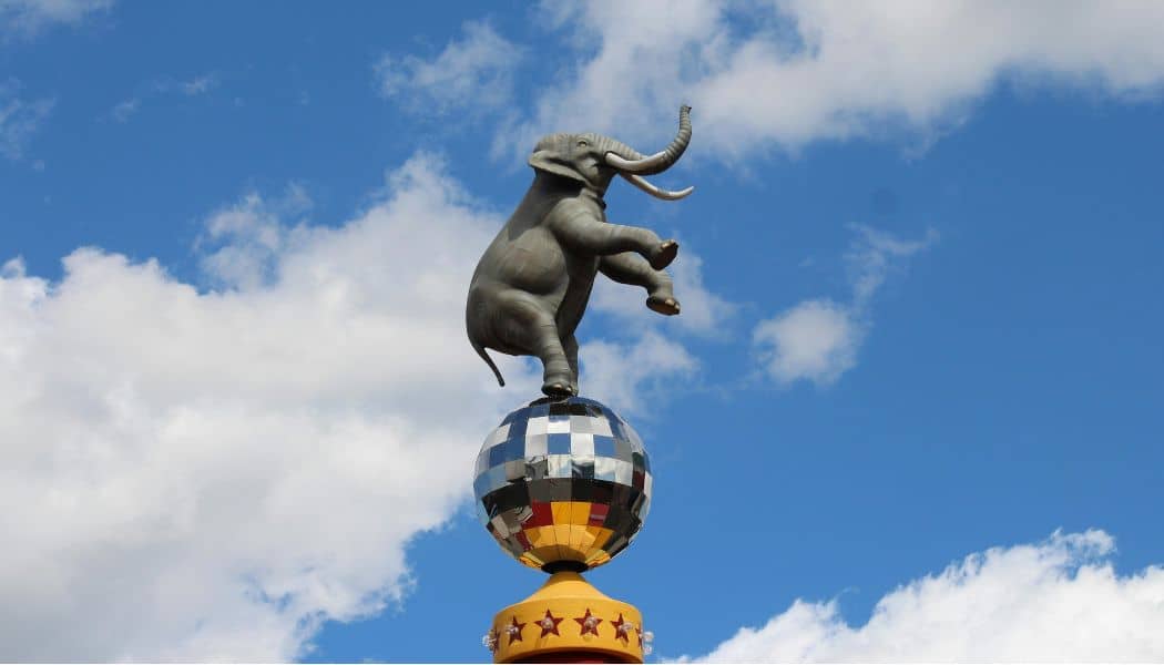 Dansende olifant zoekt aardige temmer