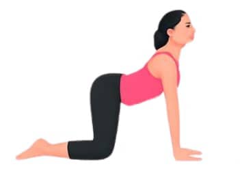 Image of woman doing Cat-Cow Pose (Marjaryasana-Bitilasana)