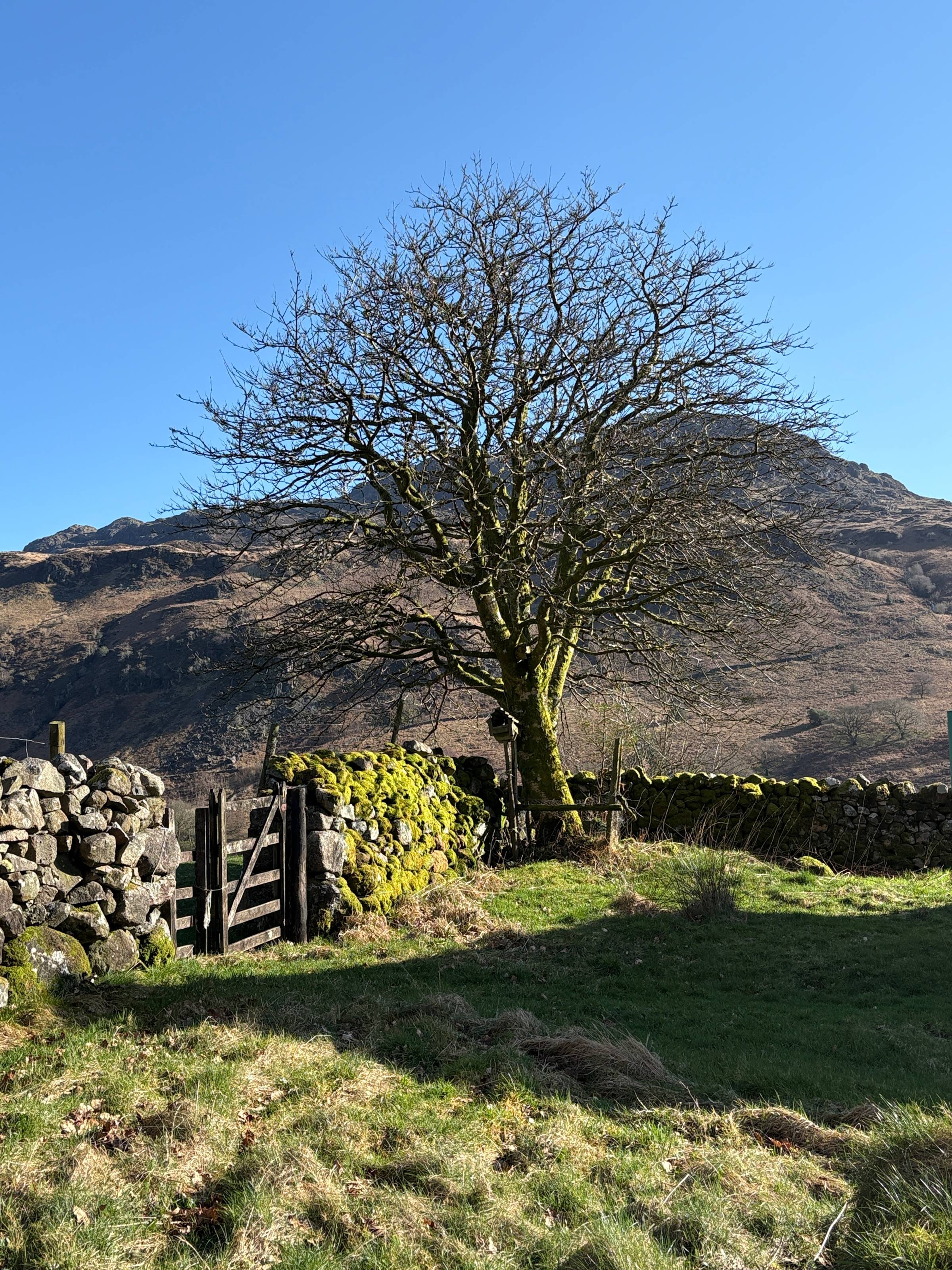 View from a babbling brook