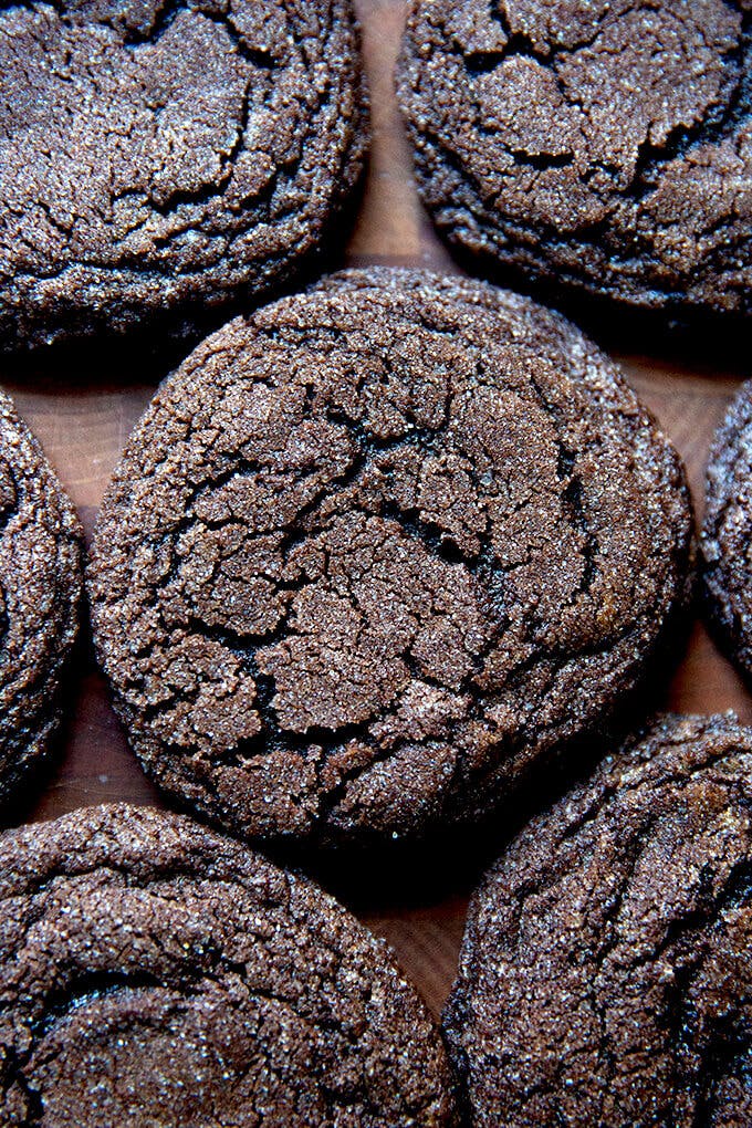 Chocolate sugar cookies. 