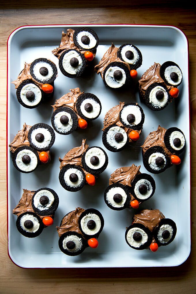 Owl Cupcakes. 