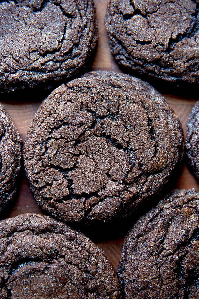 Chocolate Sugar Cookies