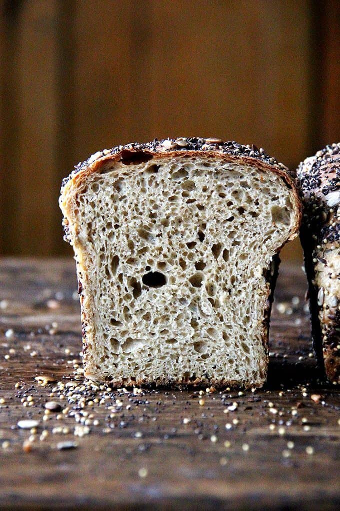 Sprouted Wheat Bread. 