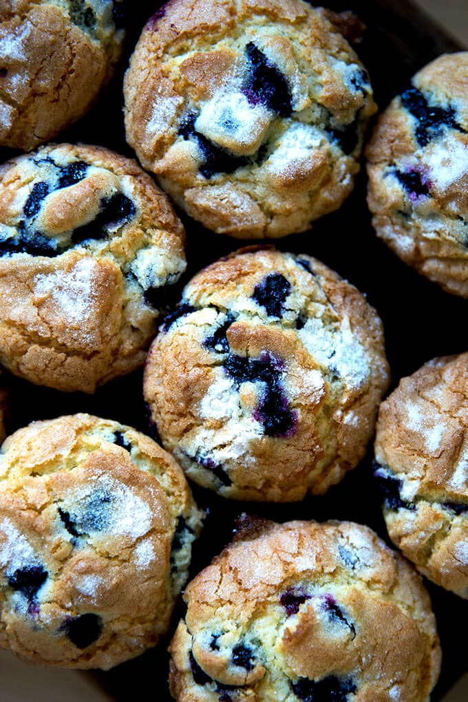 Blueberry muffins. 