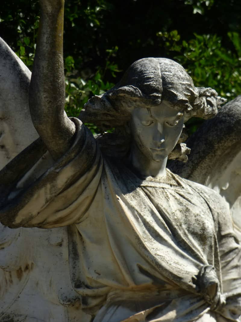 A weathered stone angel statue with wings against a background of green foliage