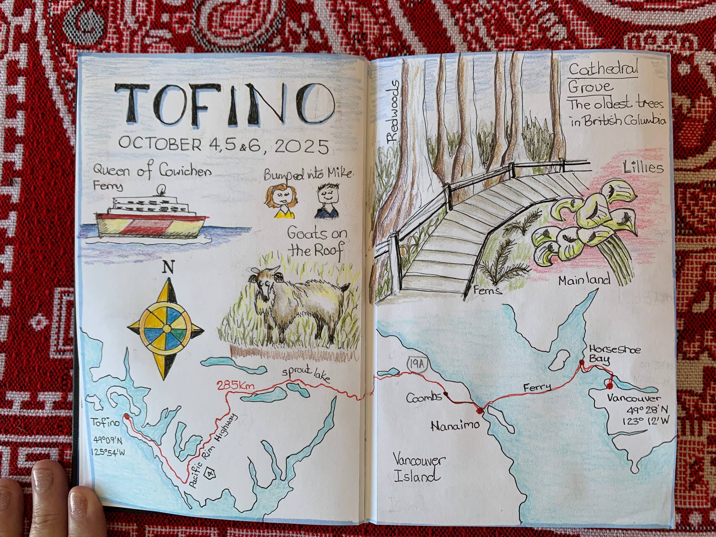 Tofino Sketchbook
