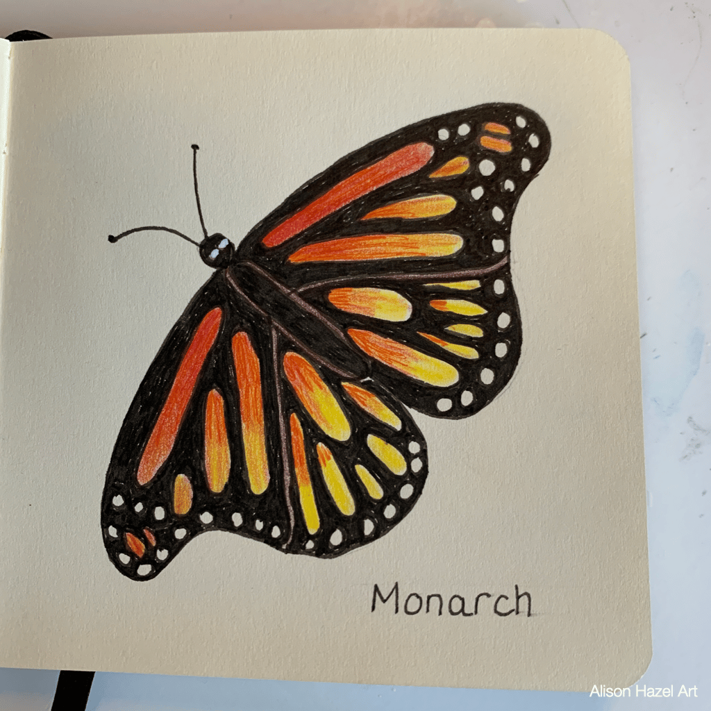 Monarch butterfly