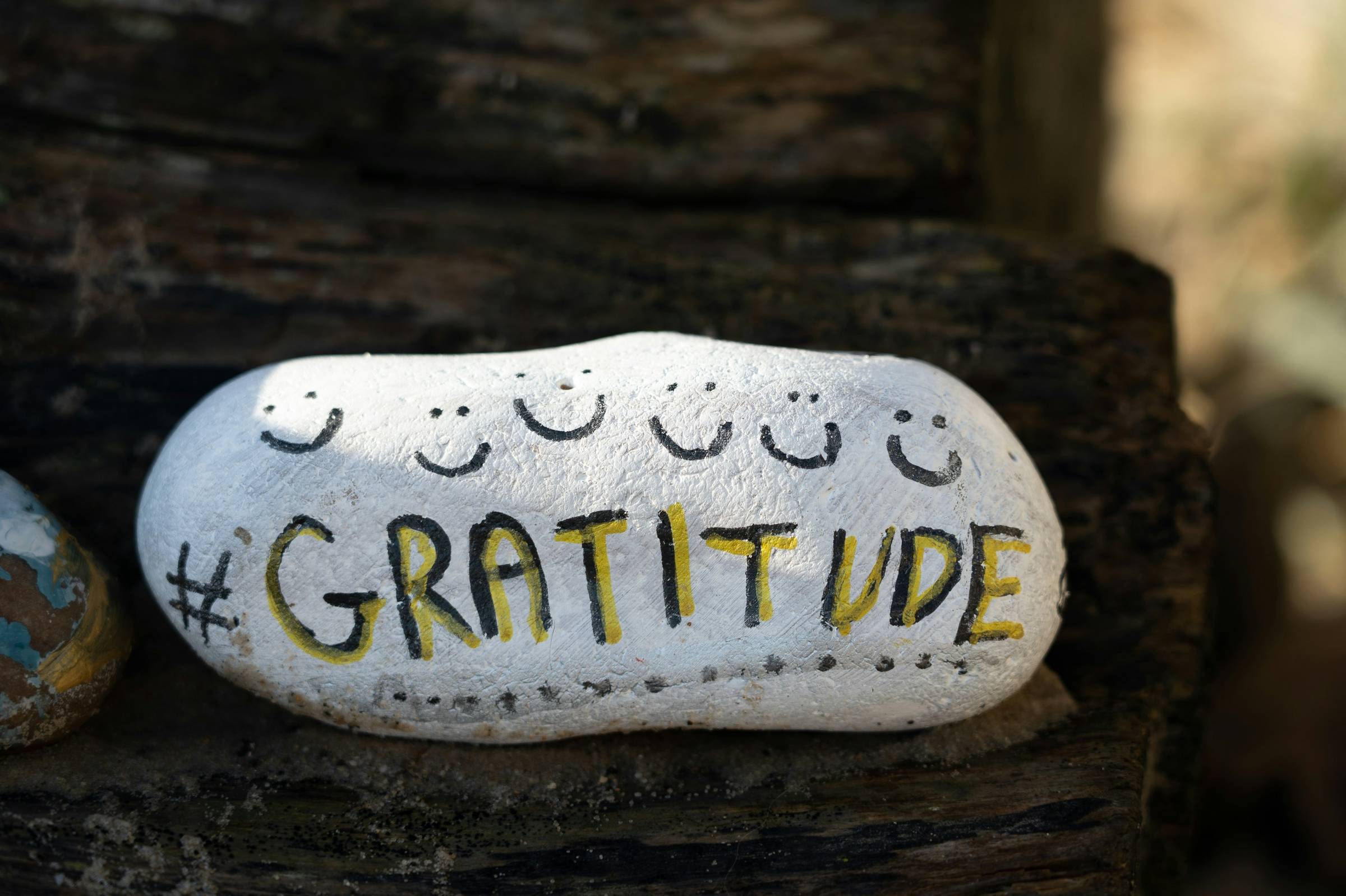 rock painted white with the word 'gratitude' on it