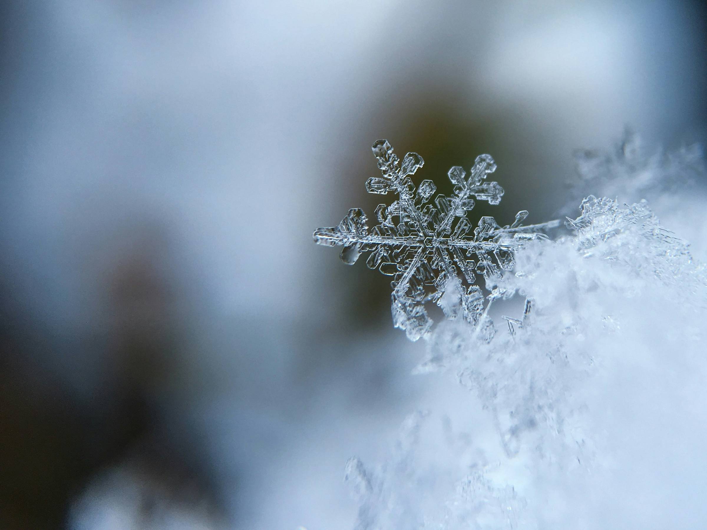close up of a snowflake