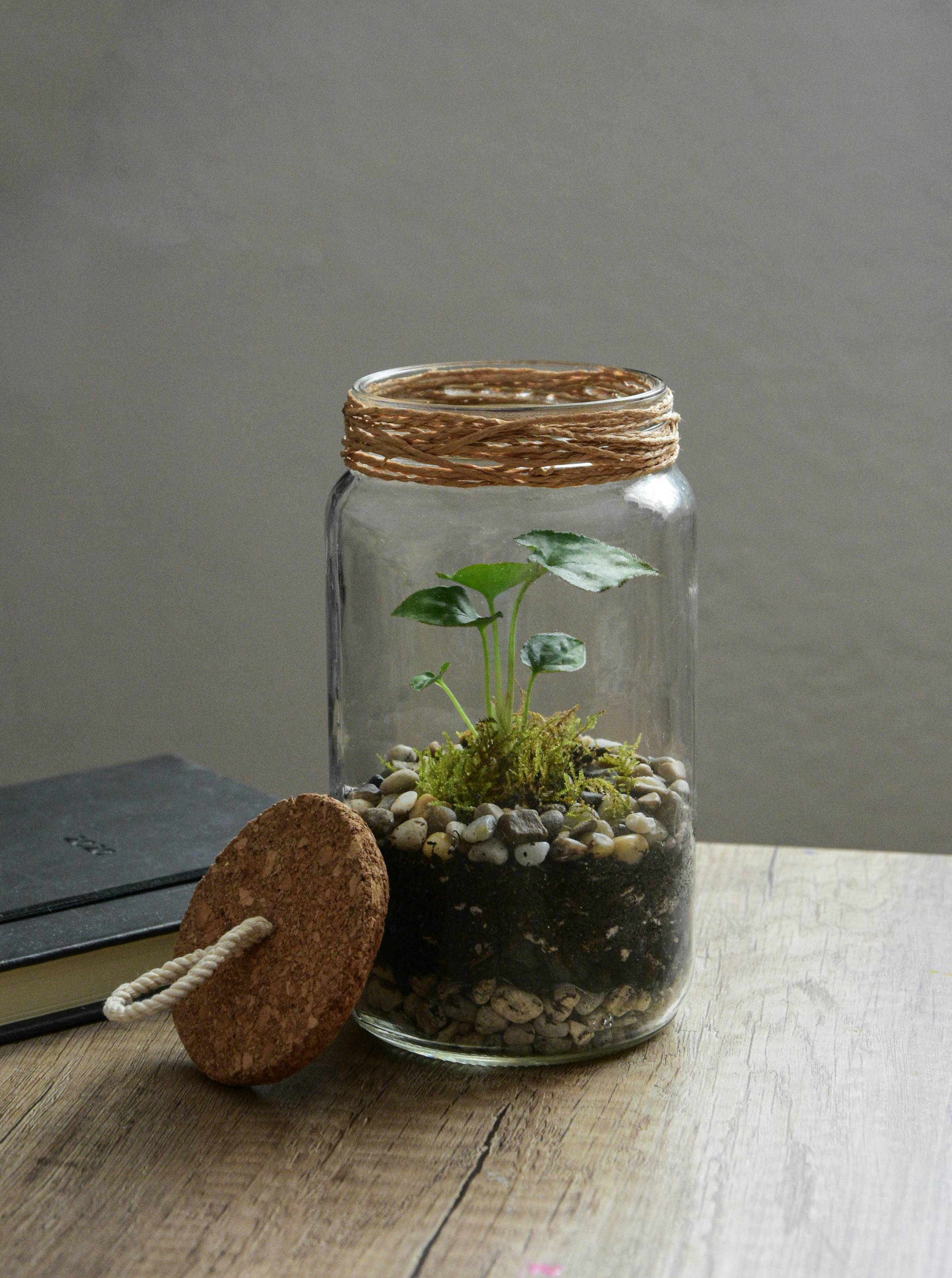 a jar with dirt, pebbles, and a plant in it