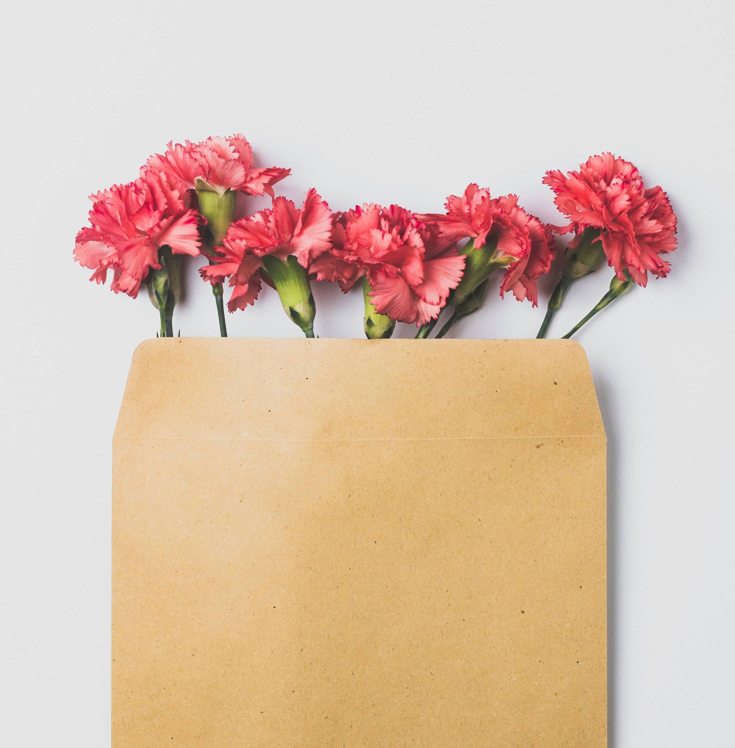 a brown envelope with pink carnations tucked inside
