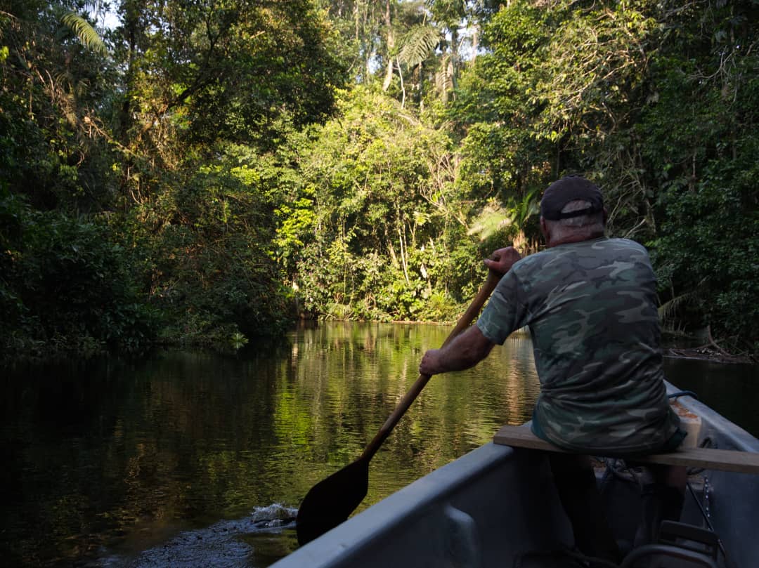 Image: A man paddles a canoe on a blackwater stream