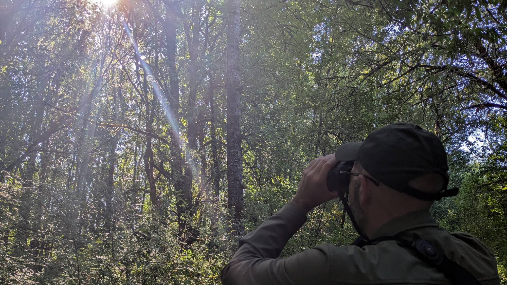 Scott using the AX Visio binoculars looking into the woods at Sauvie Island