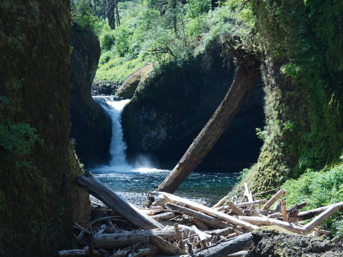 A waterall spills into a small lake surrounded by basalt walls