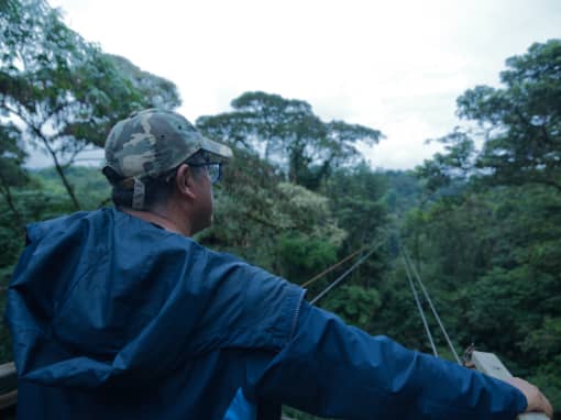 Man in a camoflauge cap and rain jacket looks out past the wires of a cable car towards to forest canopy