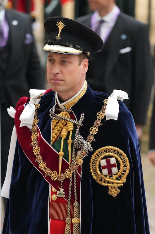 Prince William of Wales in full regalia