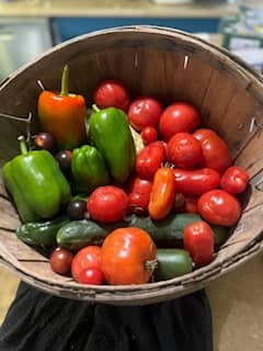 Fresh Picked Vegetables
