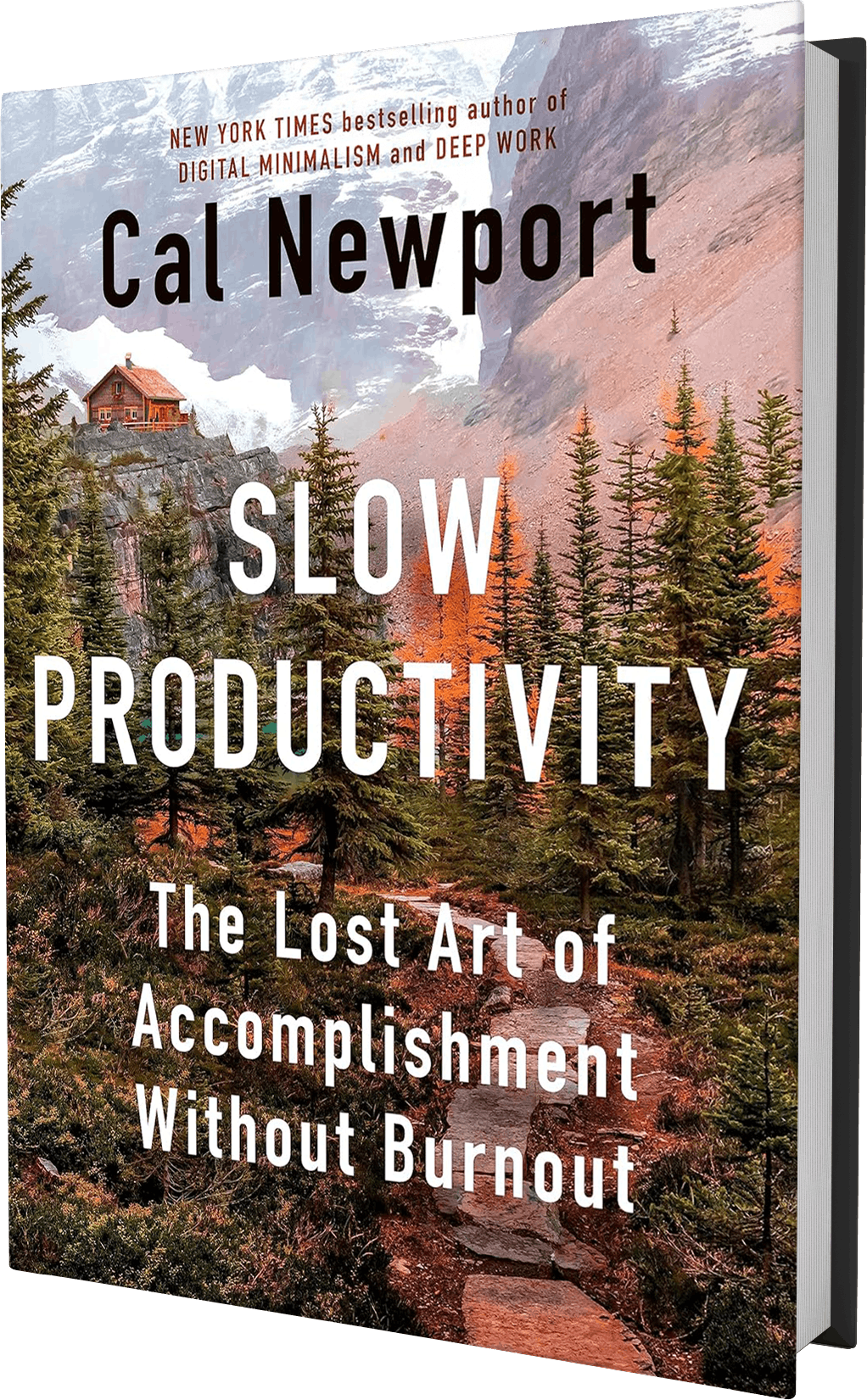 Cover art of Slow Productivity by Cal Newport