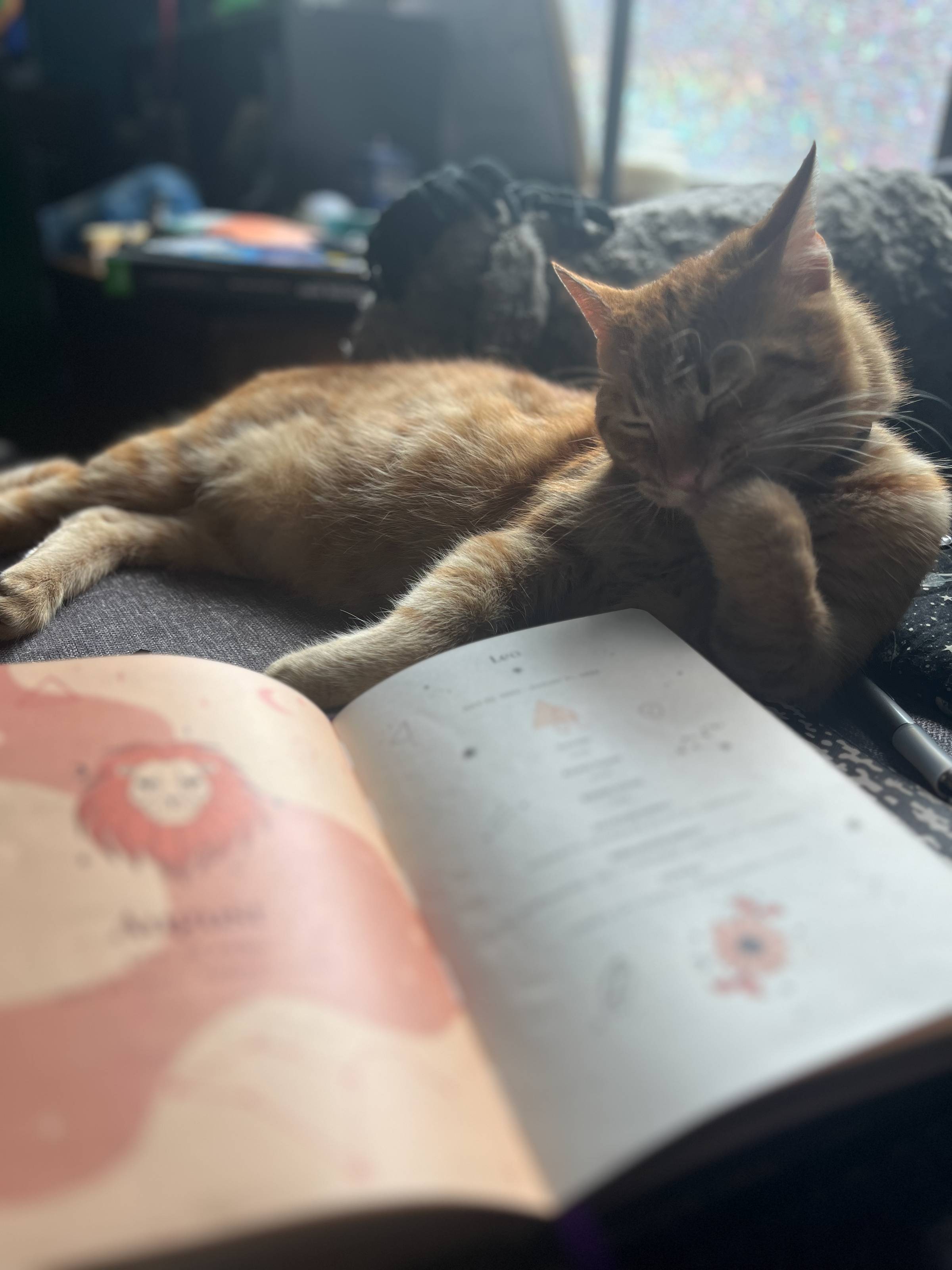 A cat licks his paw cutely next to a journal splayed open that displays a page depicting August and the associated Leo and Virgo saeasons.