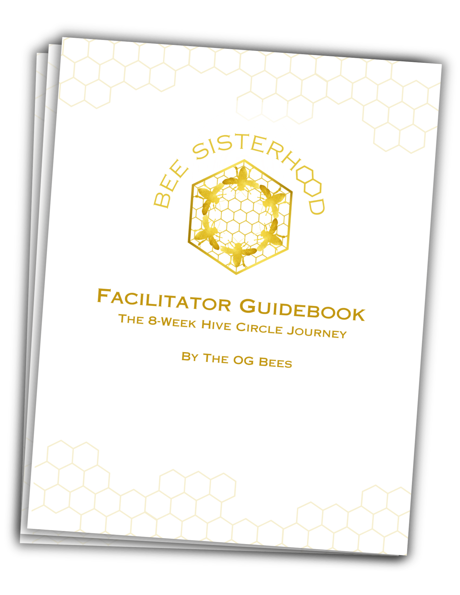 Facilitator Guidebook Image