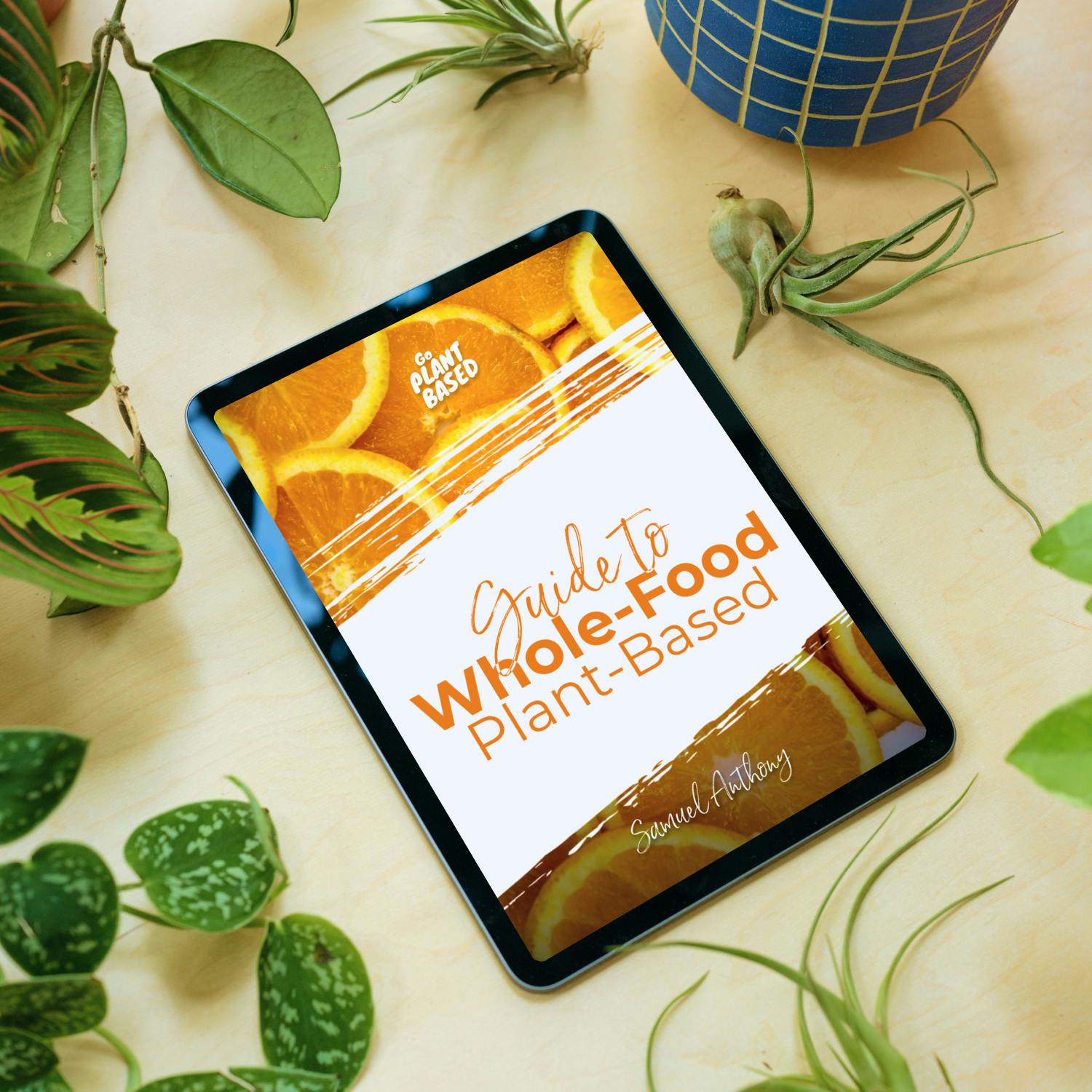 Guide: Whole Food Plant-Based