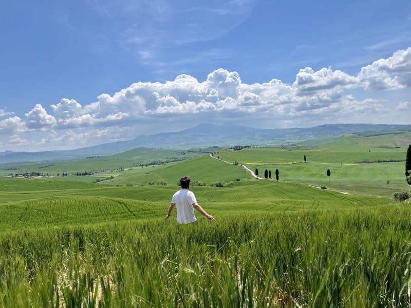 Caminando sobre un campo de trigo verde