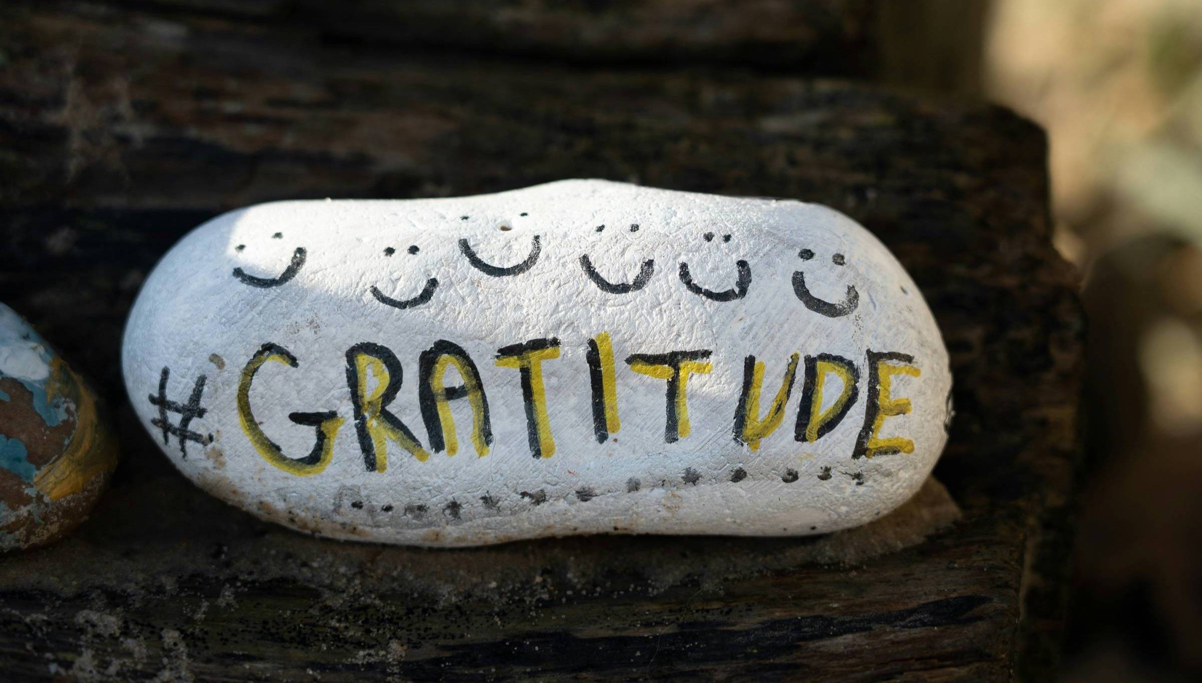A rock with the word "Gratitude" written on it.