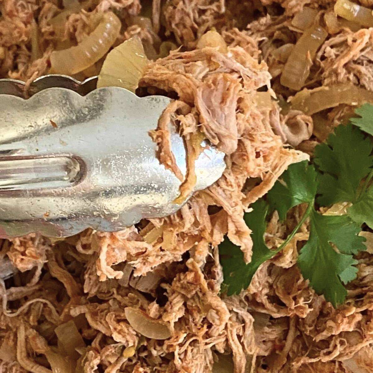 Tongs holding up pork tenderloin carnitas.