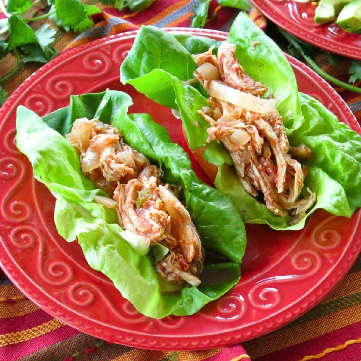 Two lettuce leaves stuffed with salsa chicken.