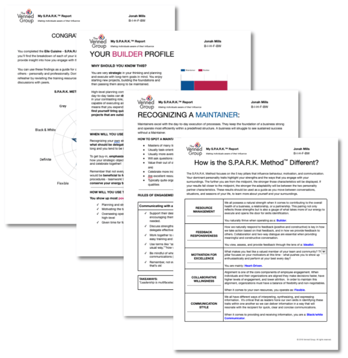 S.P.A.R.K. Assessment