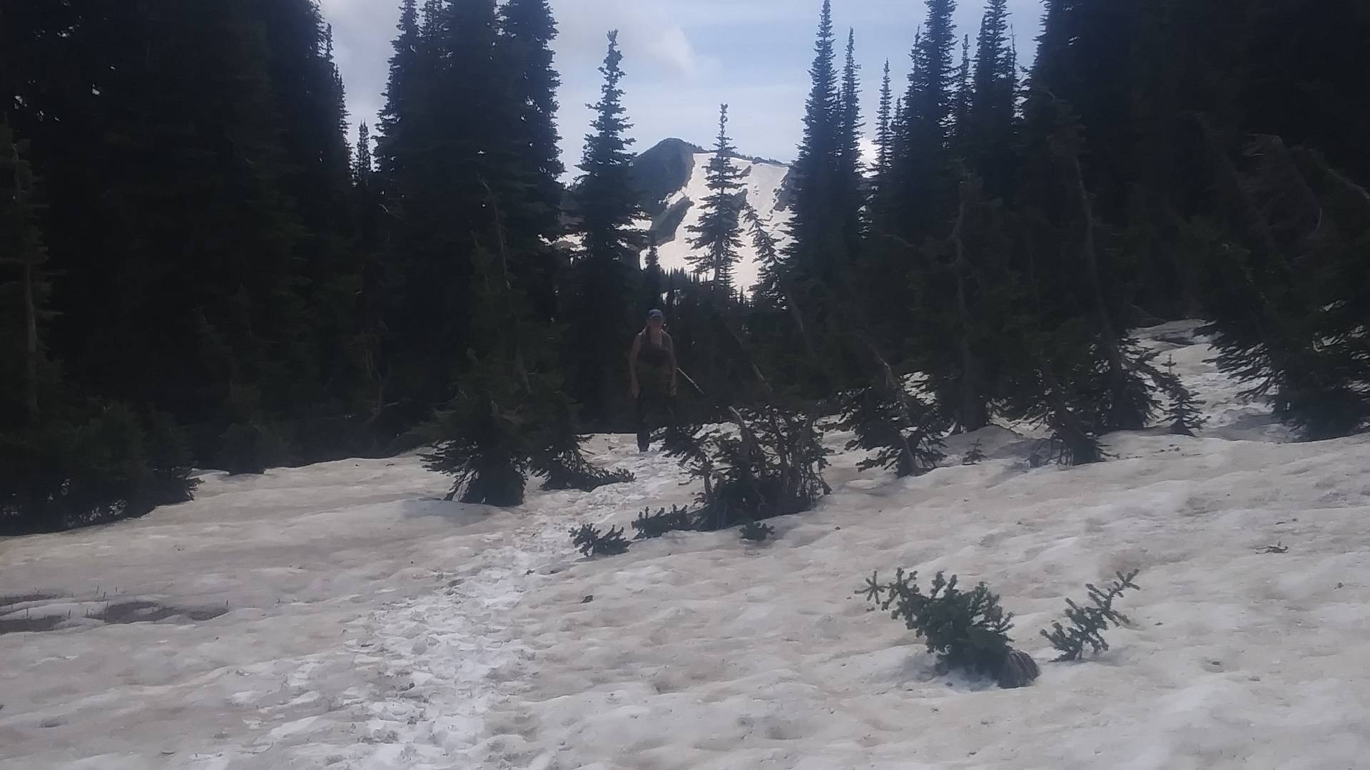 A hiking trail through a snow field.