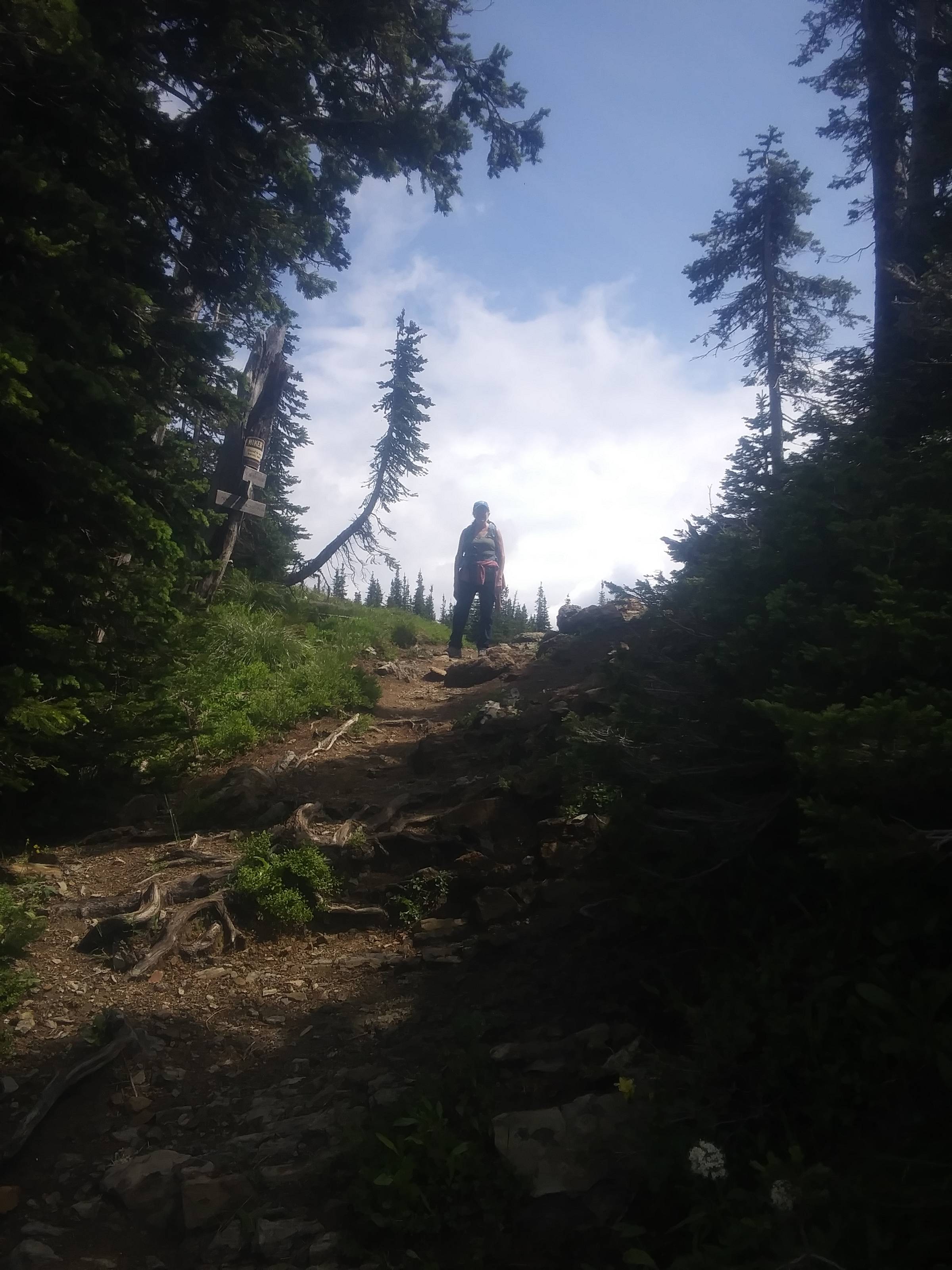 A hiker standing at a crest in the hiking trail.