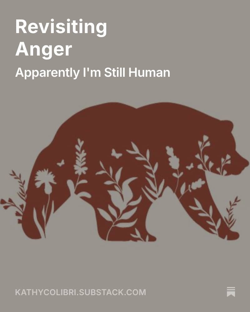 A flyer for Revisiting Anger Substack post.