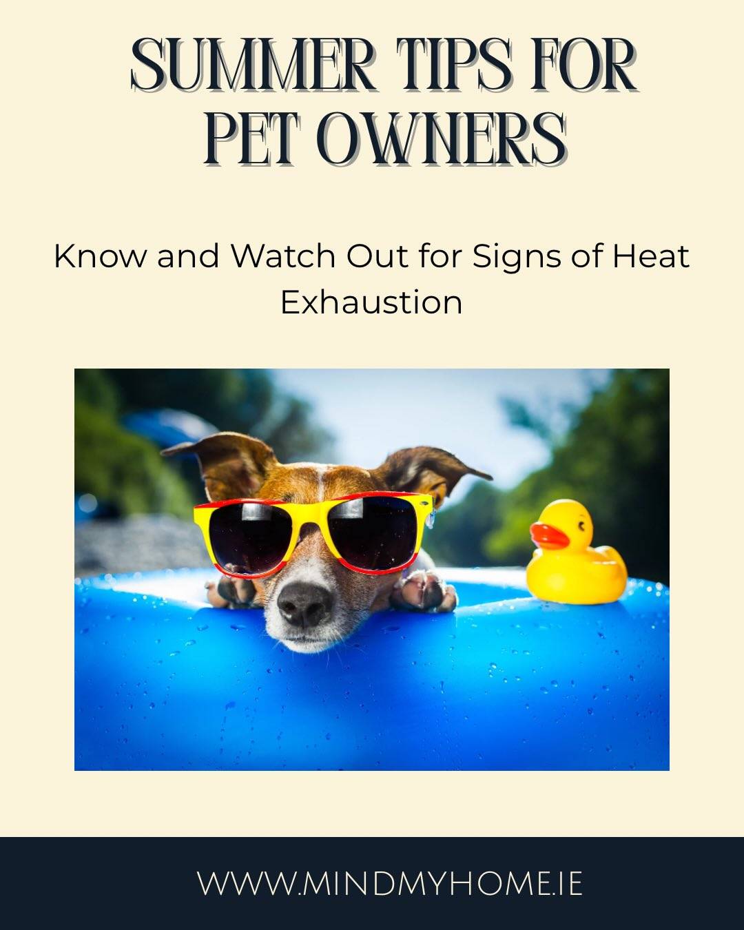 Keeping Pets Safe This Summer