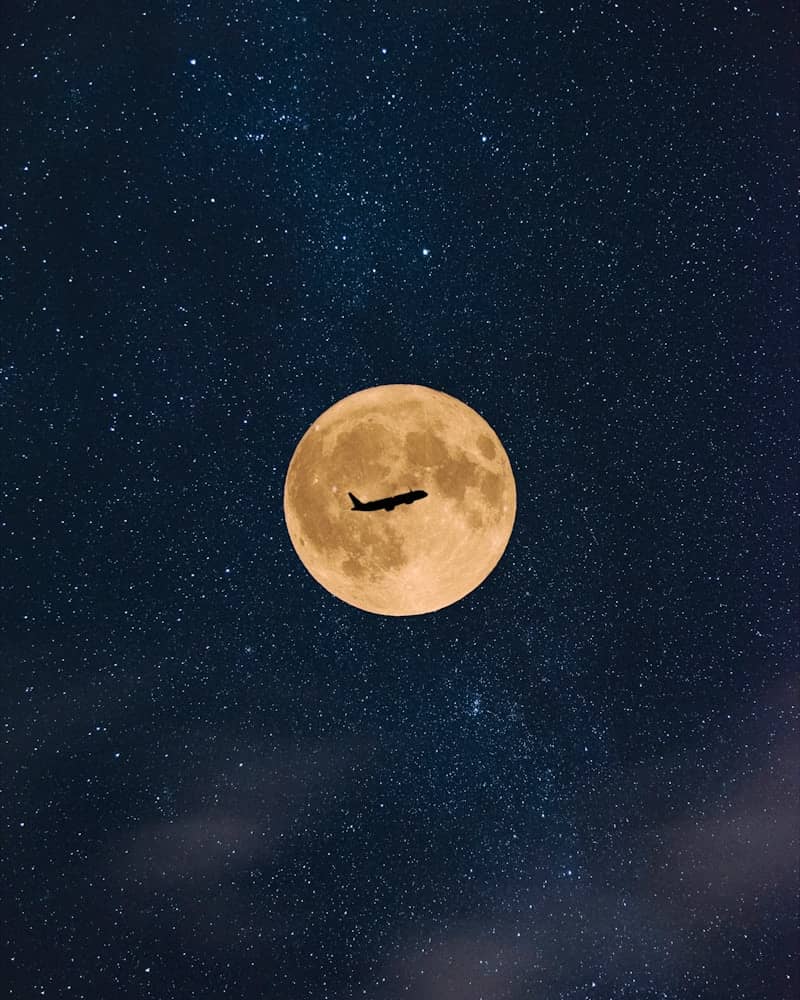 A bird flying in the sky with a full moon in the background