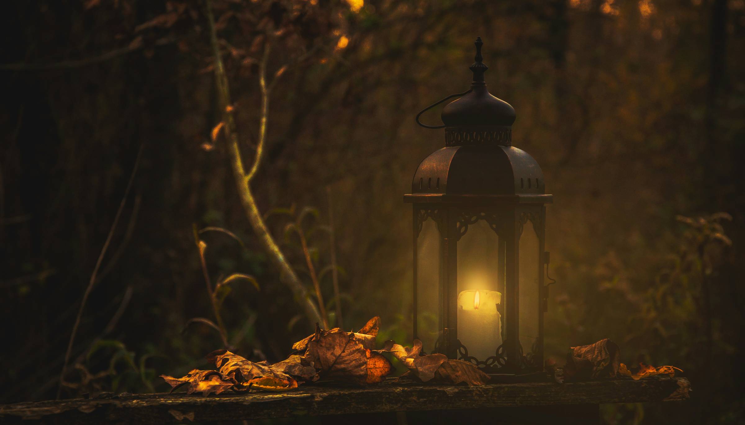 The image is of a lantern next to a tree branch